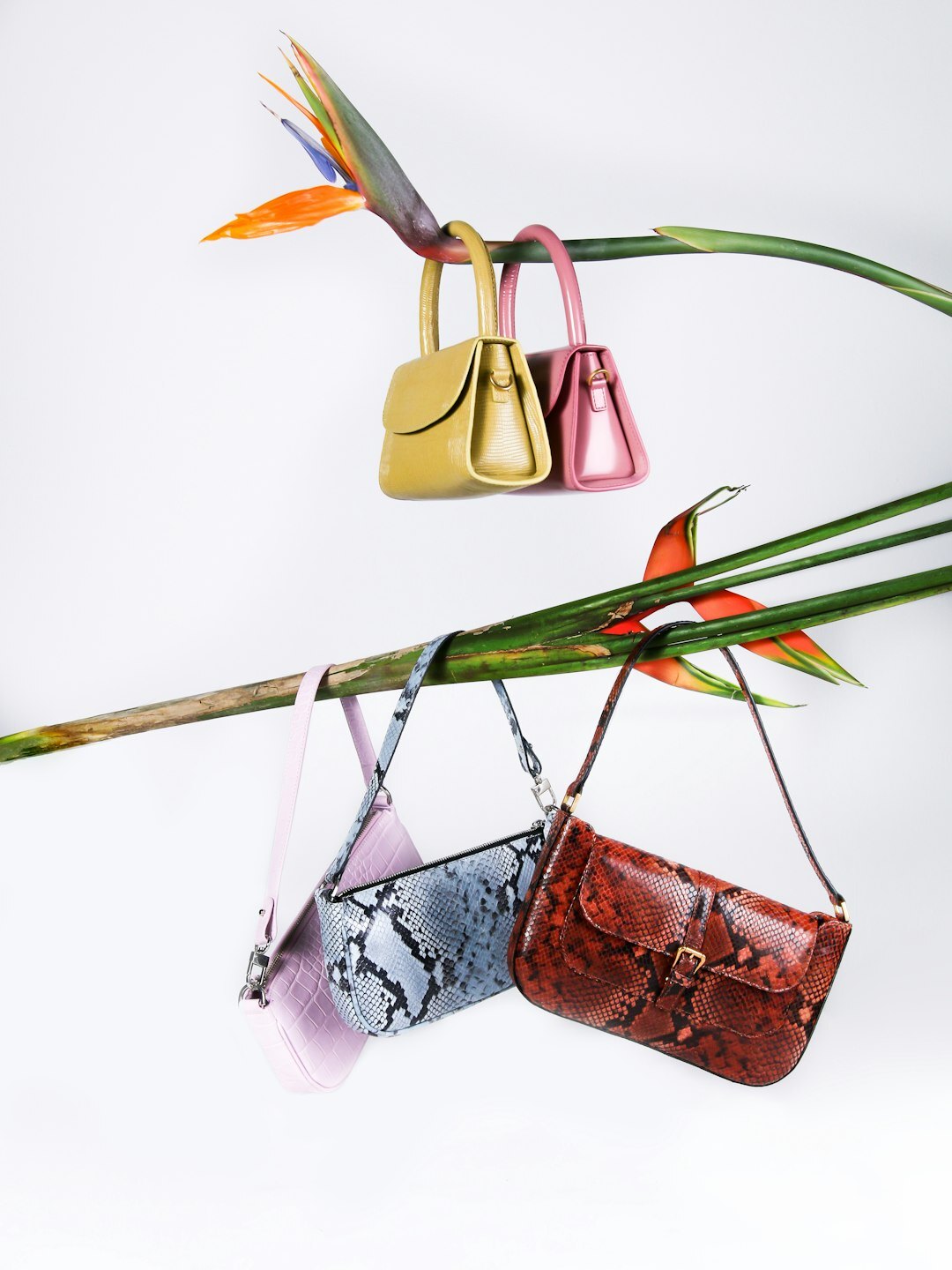 luxury handbag collection